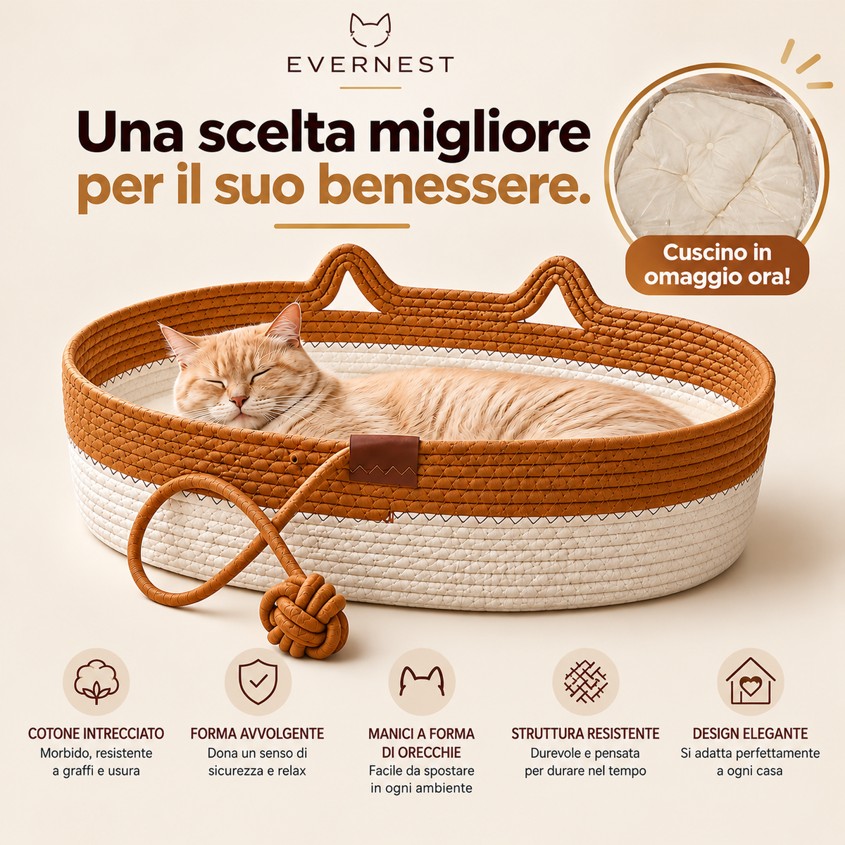 EverNest™ – Cuccia Comfort per Gatti, Il suo angolo di comfort ogni giorno. 🐱