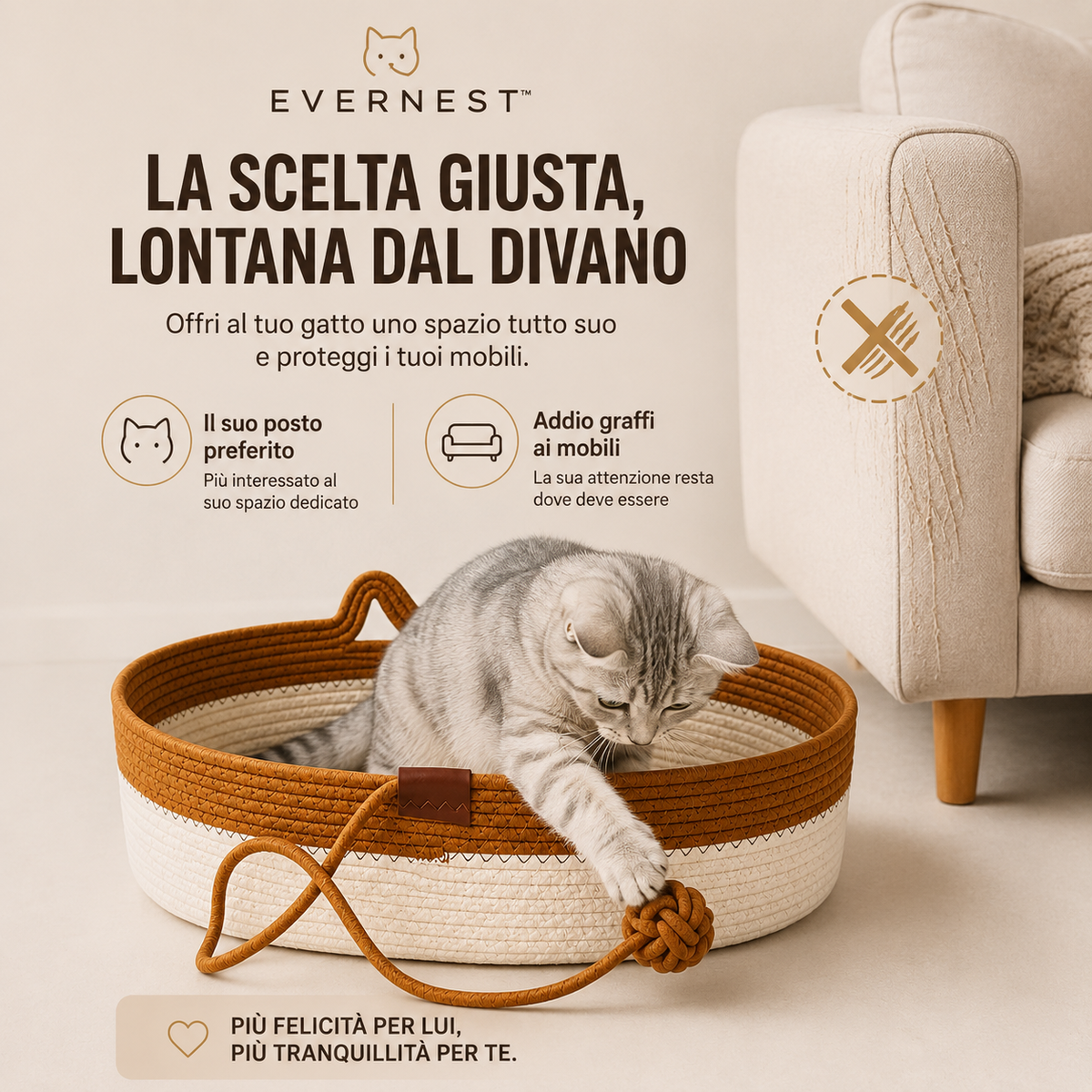 EverNest™ – Cuccia Comfort per Gatti, Il suo angolo di comfort ogni giorno. 🐱