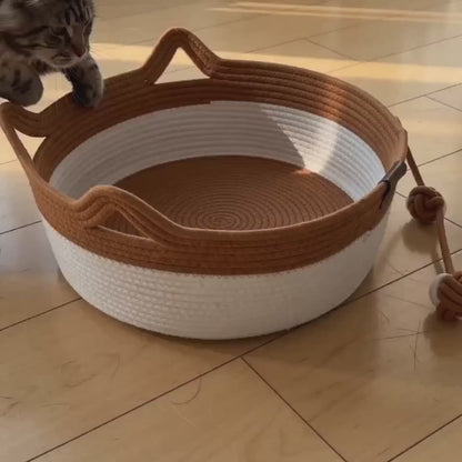 EverNest™ – Cuccia Comfort per Gatti, Il suo angolo di comfort ogni giorno. 🐱
